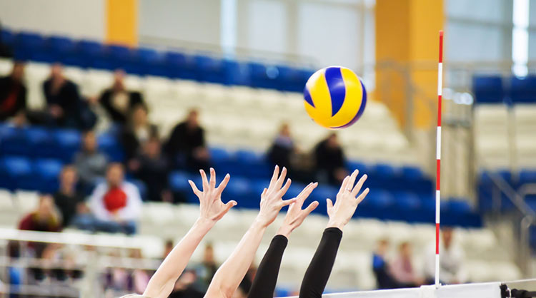 volleyball scholarship